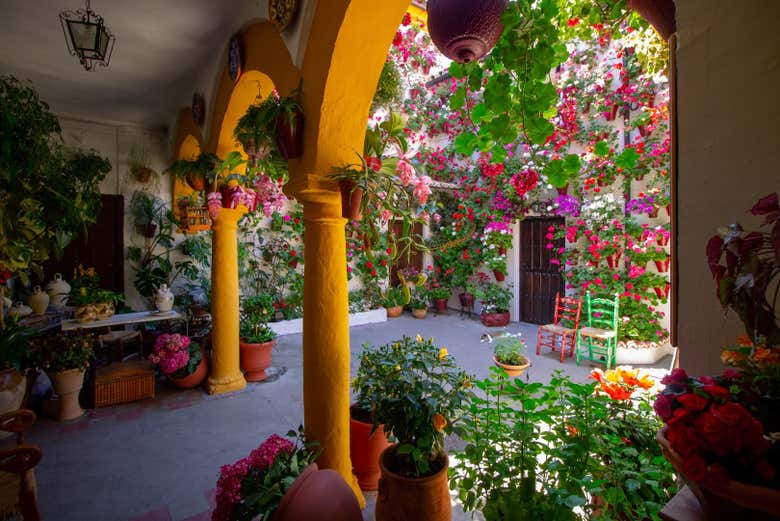 Cortile di Calle San Basilio