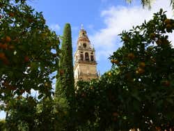 Campanile della Cattedrale di Cordova