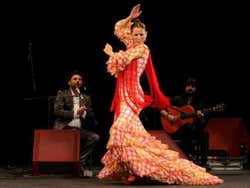 Spettacolo di flamenco a Cordova