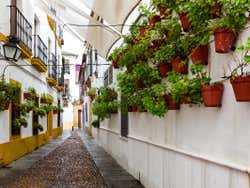 Judería di Cordova