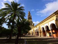 Patio de los Naranjos